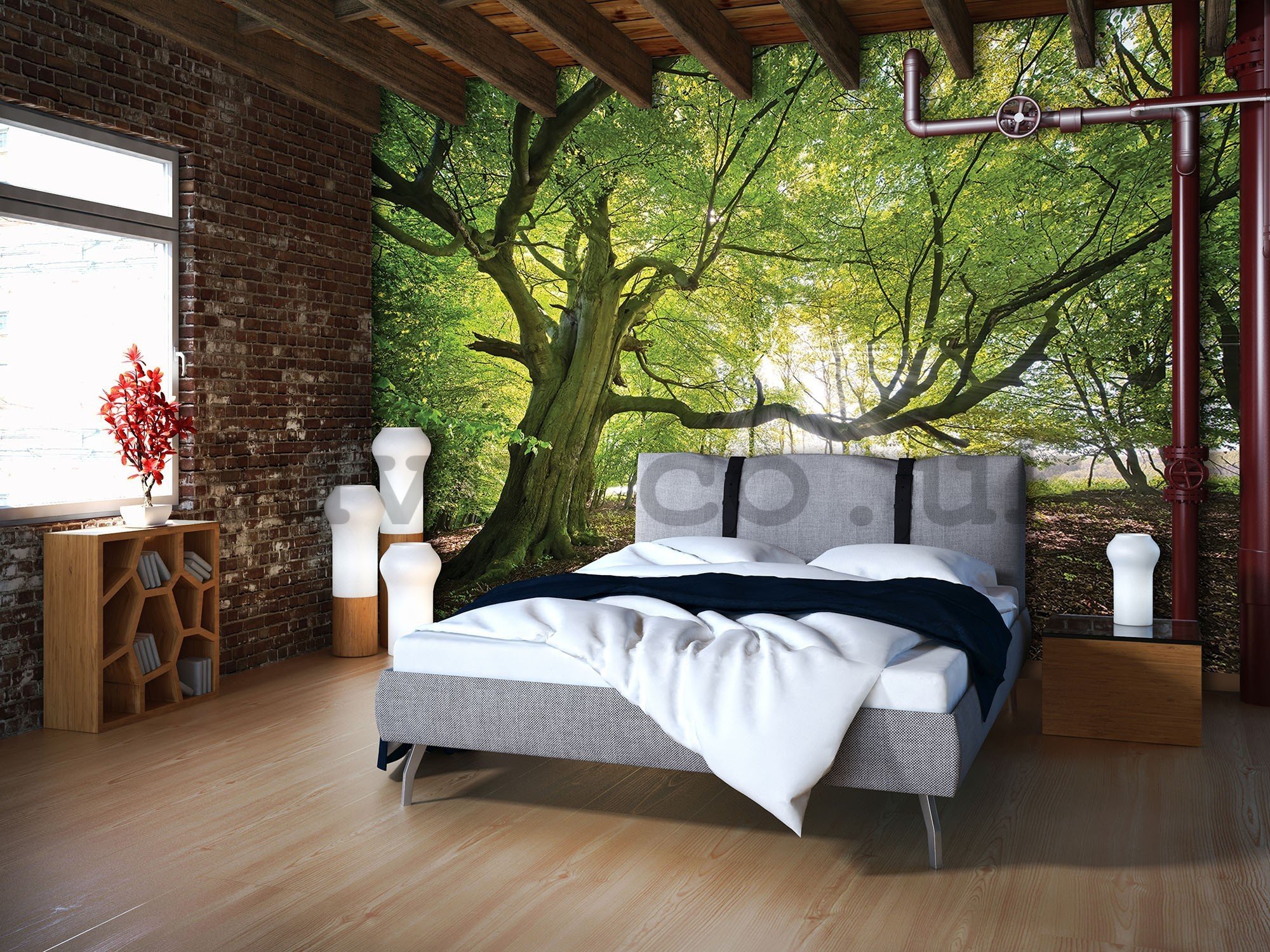 Wall mural vlies: Sun in the Forest (5) - 416x254 cm