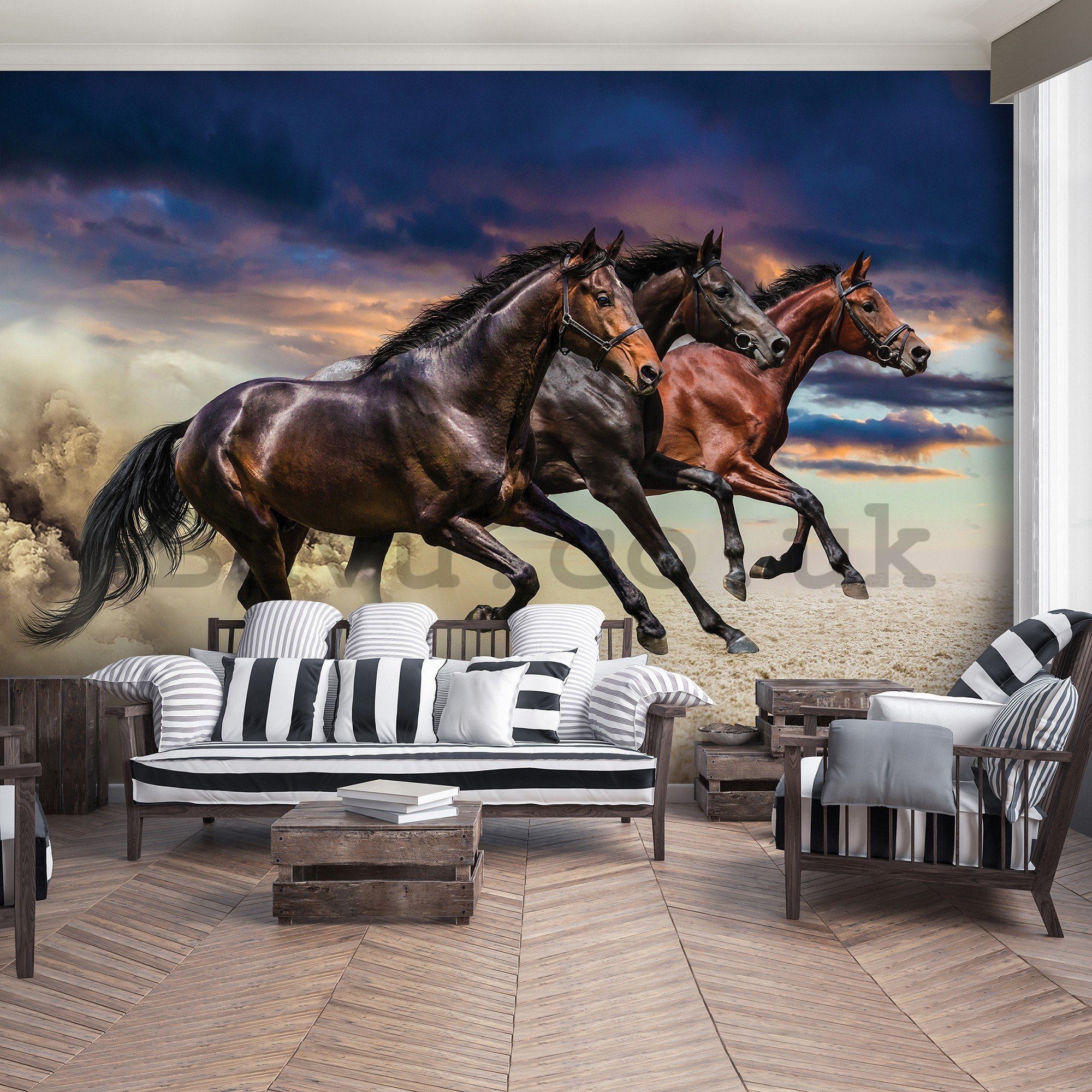 Wall mural vlies: Galloping horses - 416x254 cm