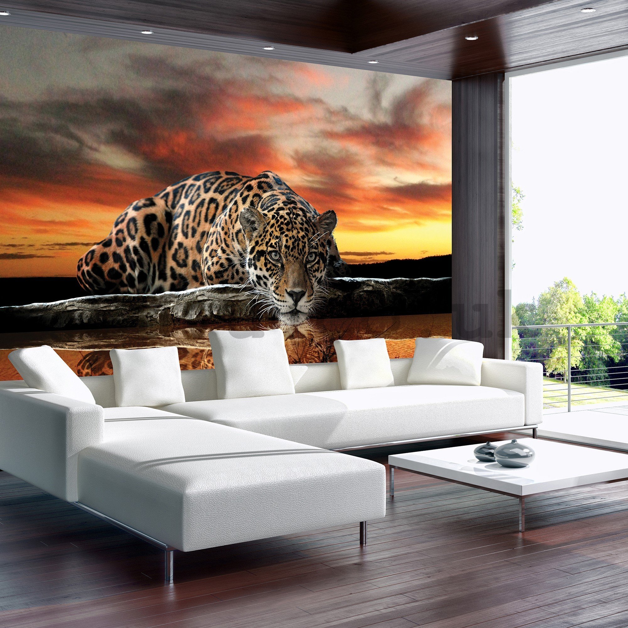 Wall mural vlies: Jaguar - 416x254 cm