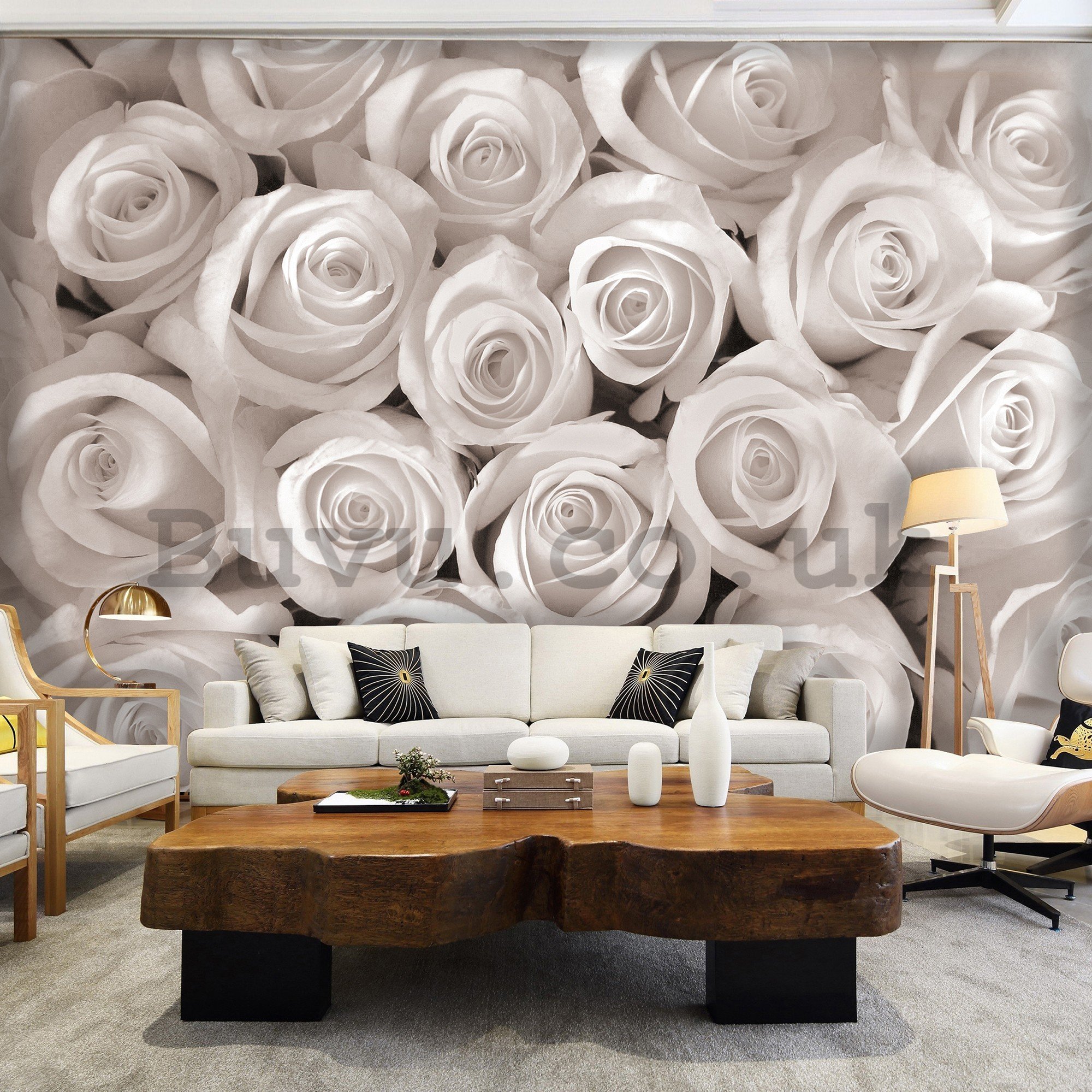 Wall mural vlies: White Rose - 416x254 cm