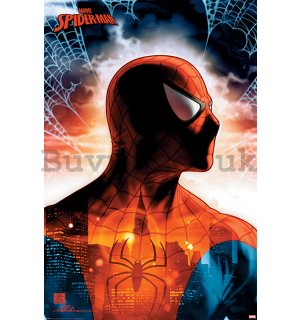 Poster - Spider-man (Protector of the City)