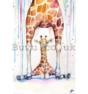 Poster - Gorgeous Giraffes, Marc Allante