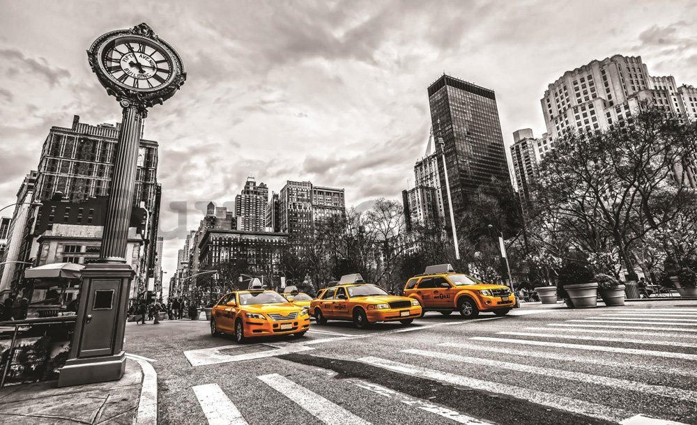 Wall Mural: New York (Taxi) - 254x368 cm