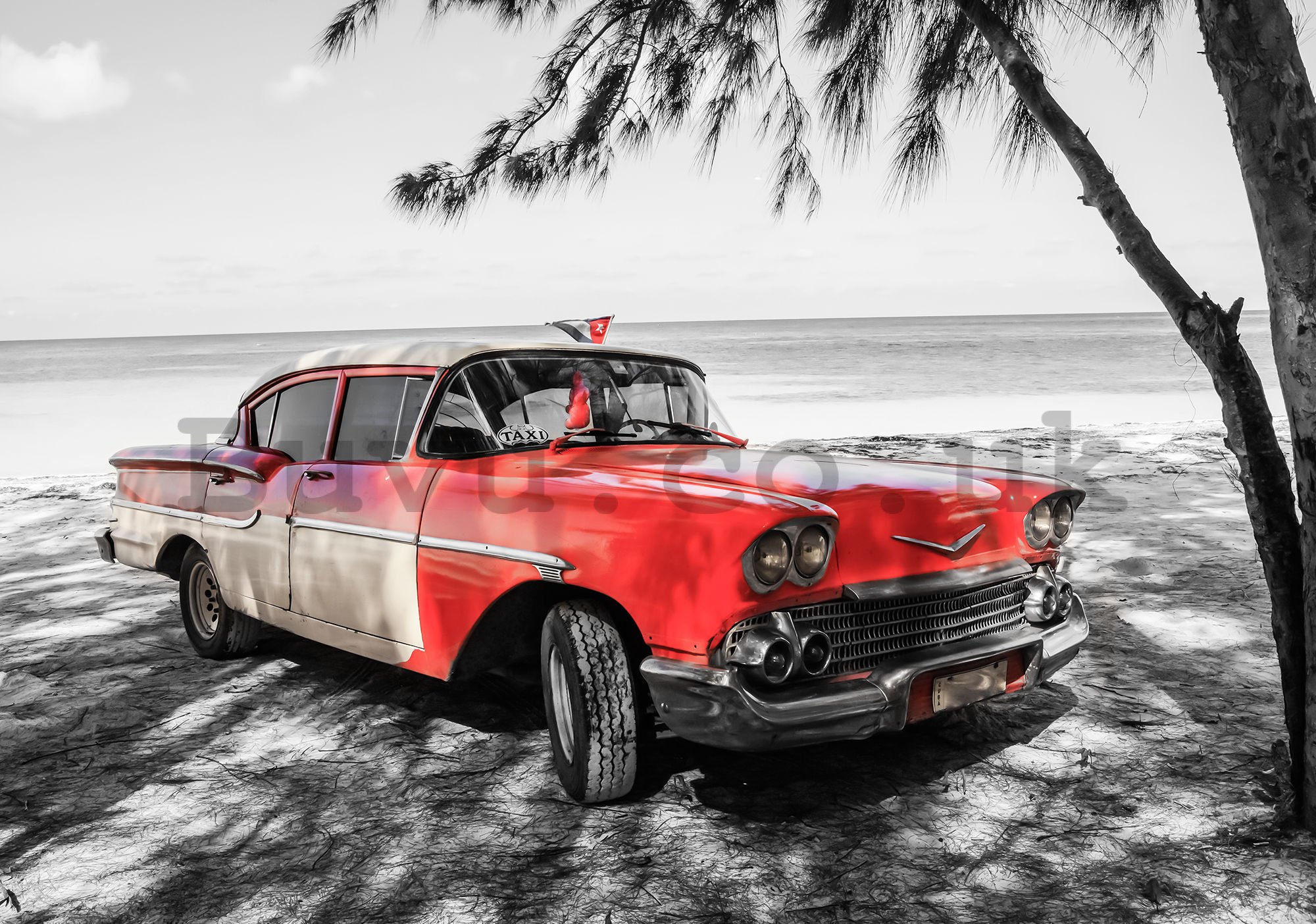 Wall mural vlies: Cuba red car by the sea - 254x368 cm
