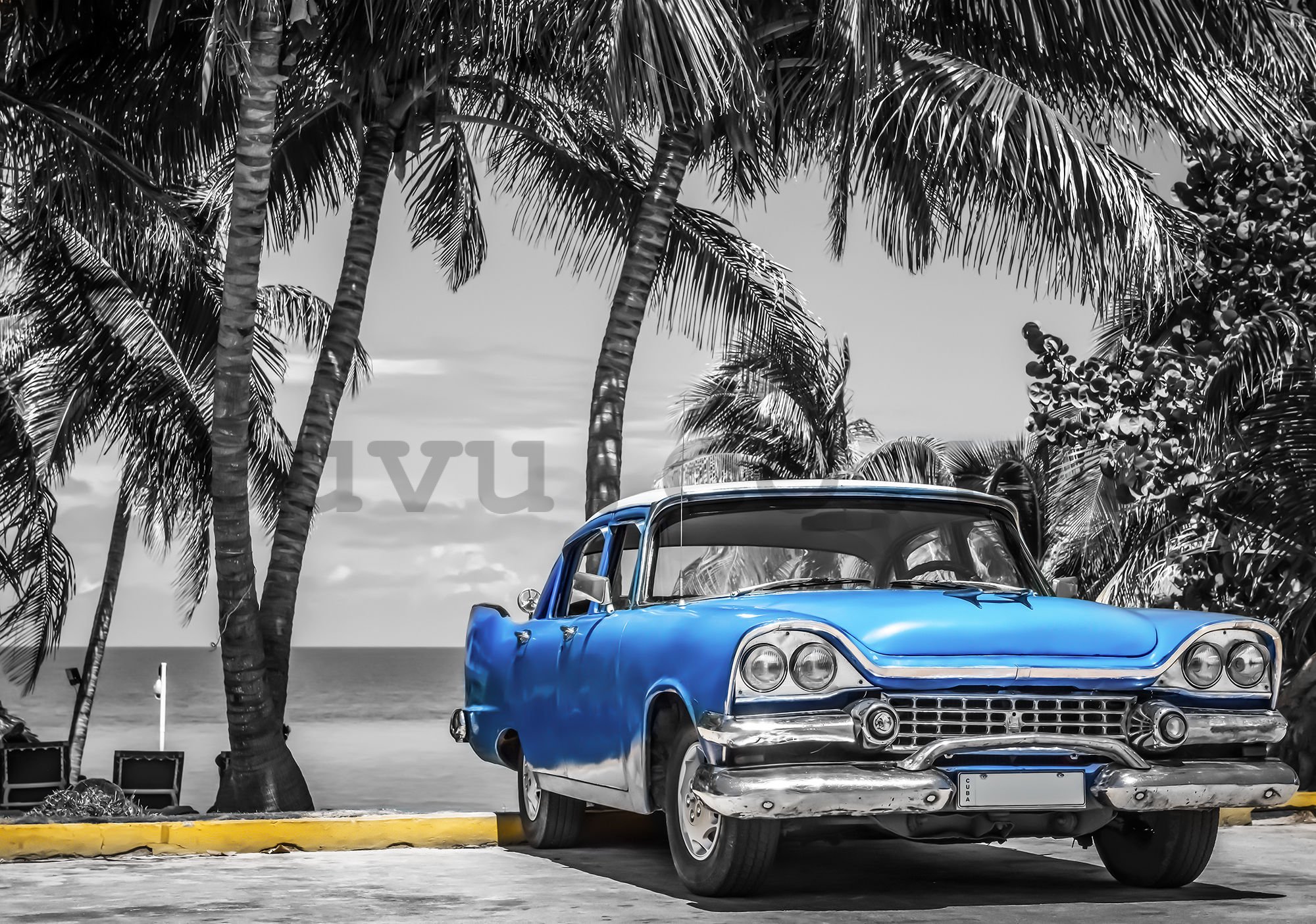Wall mural vlies: Cuba blue car by the sea - 254x368 cm