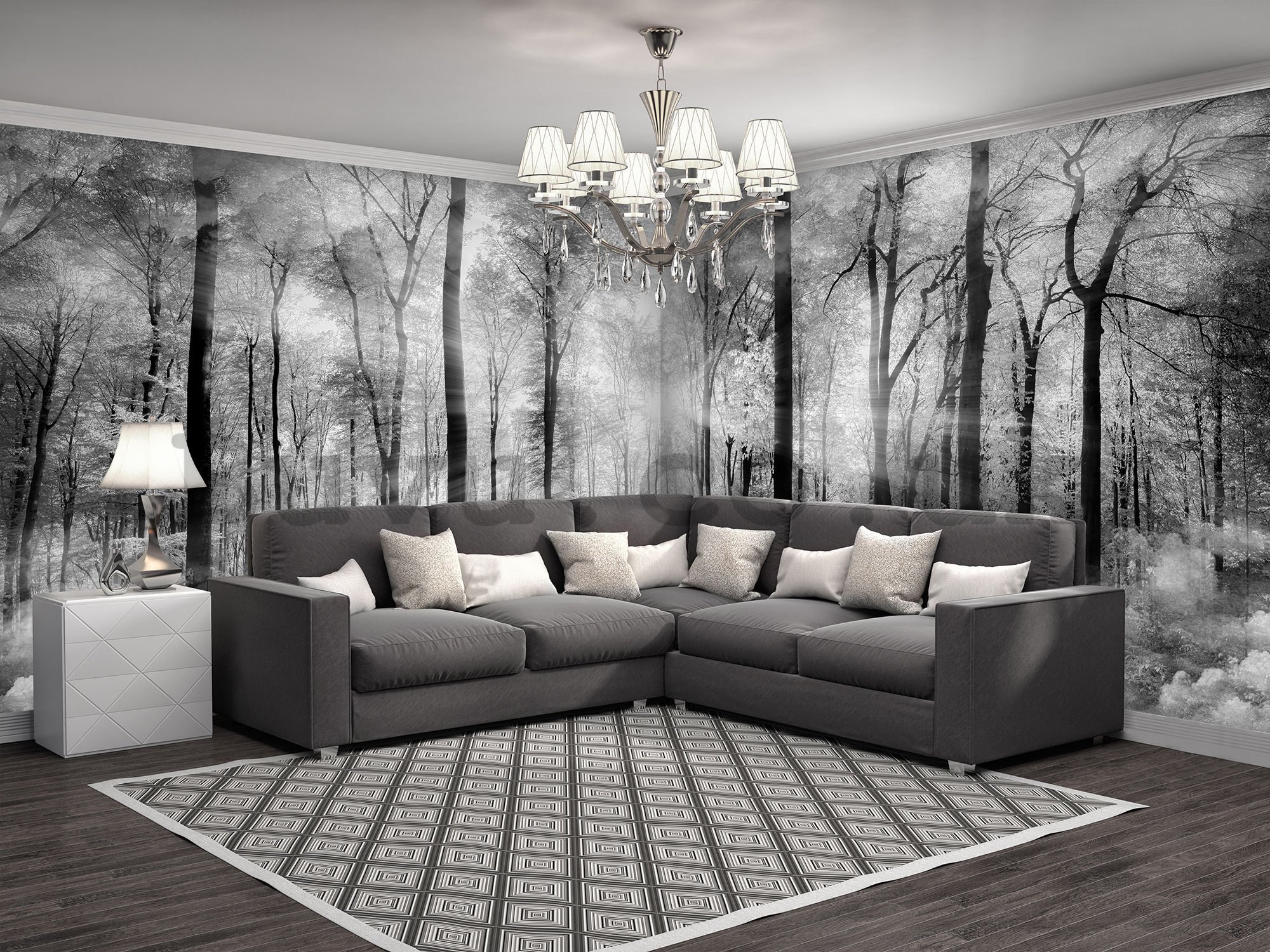 Wall mural: Black and white forest - 624x219 cm