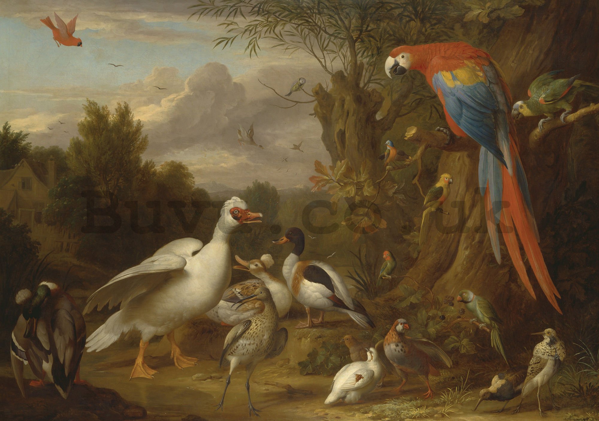 Wall mural: Ducks, Parrots, and Other Birds in a Landscape - 104x152,5 cm