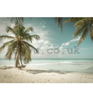 Wall mural: Palm trees over the sea - 104x152,5 cm