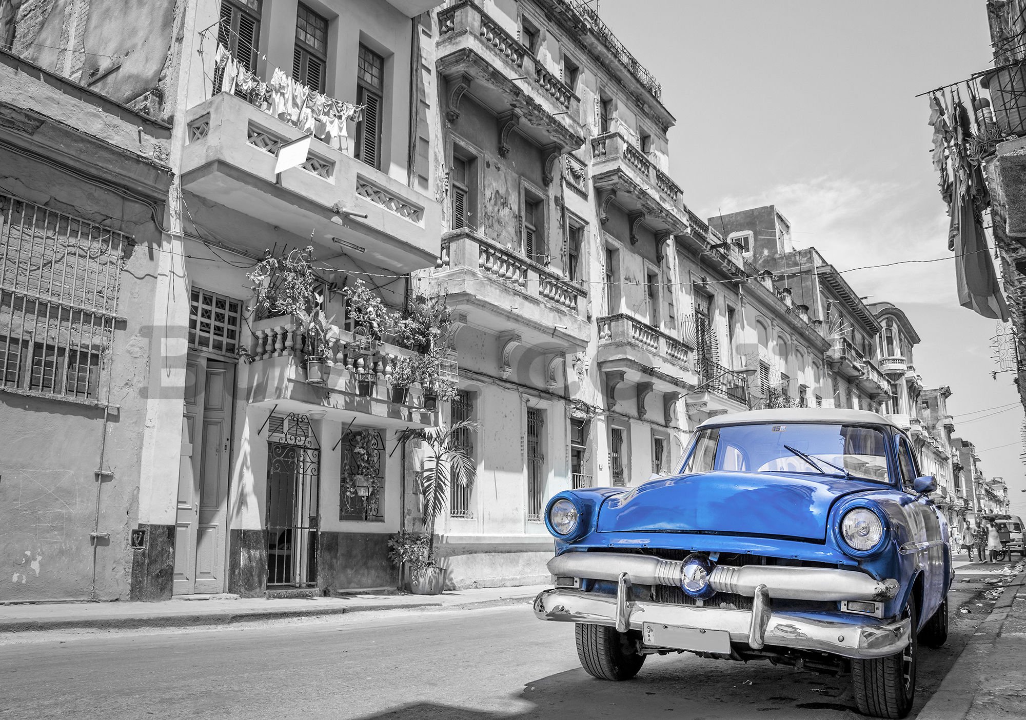 Wall mural vlies: Havana blue car - 416x254 cm