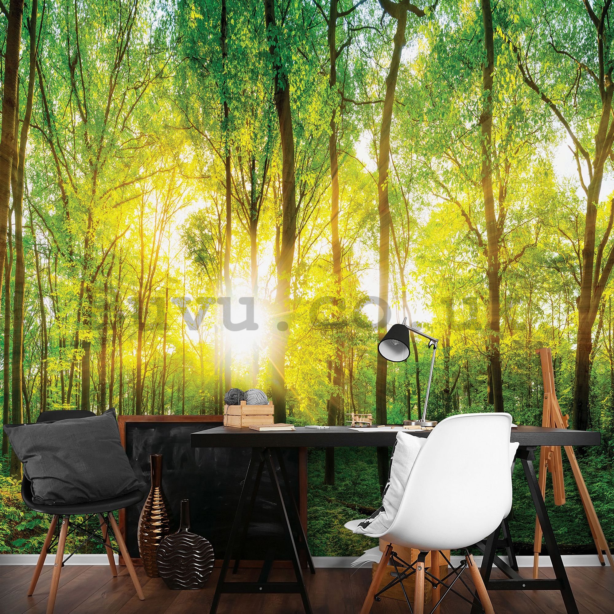 Wall mural: View through the forest - 184x254 cm