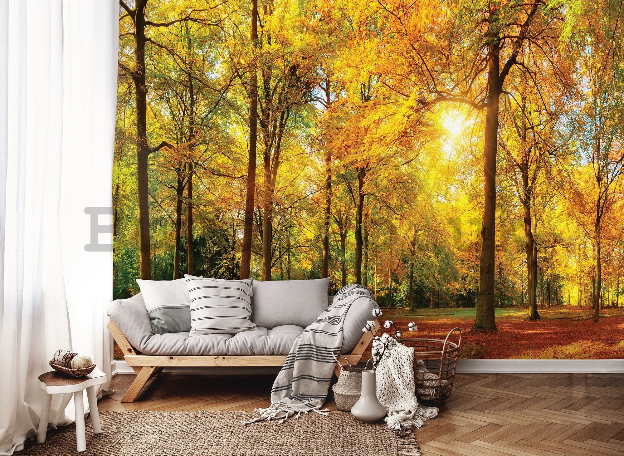 Wall mural: Fallen leaves in the forest - 254x368 cm