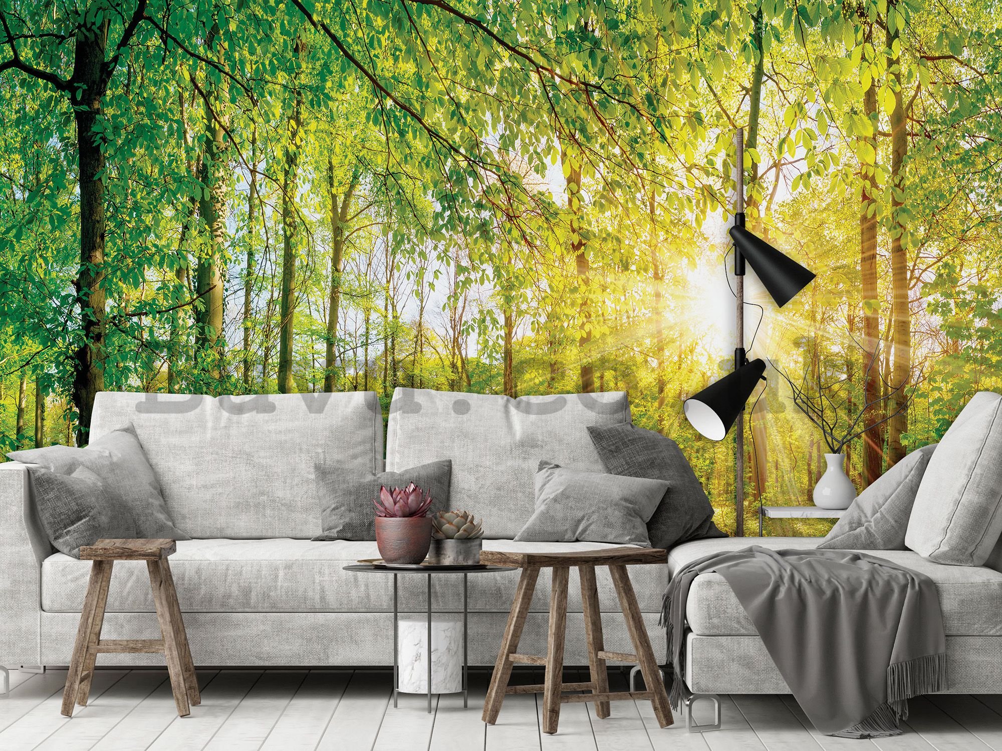 Wall mural vlies: View of the forest - 184x254 cm