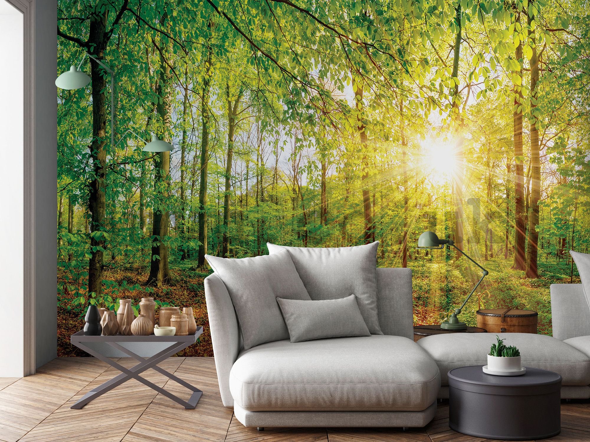 Wall mural vlies: View of the forest - 254x368 cm