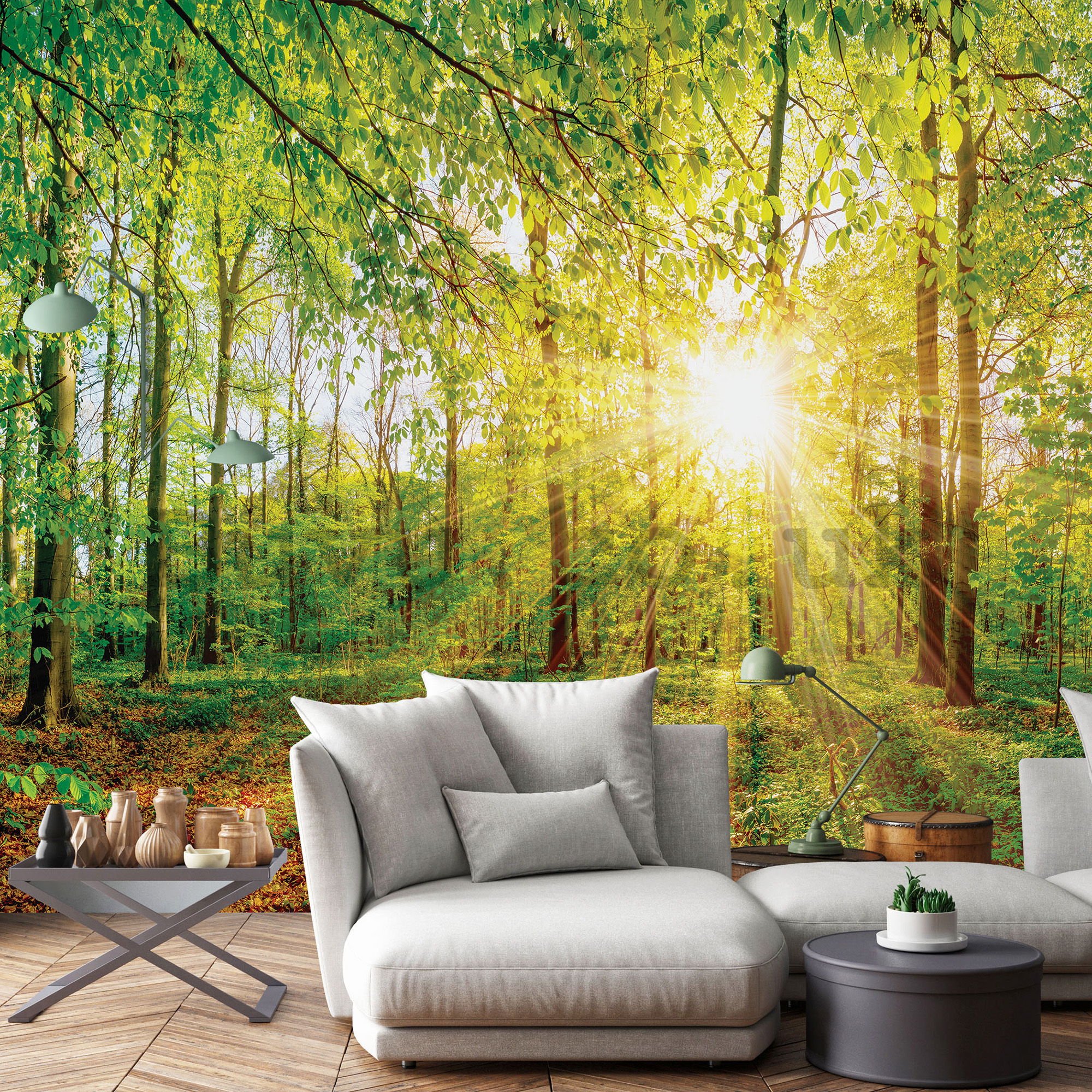 Wall mural vlies: View of the forest - 254x368 cm