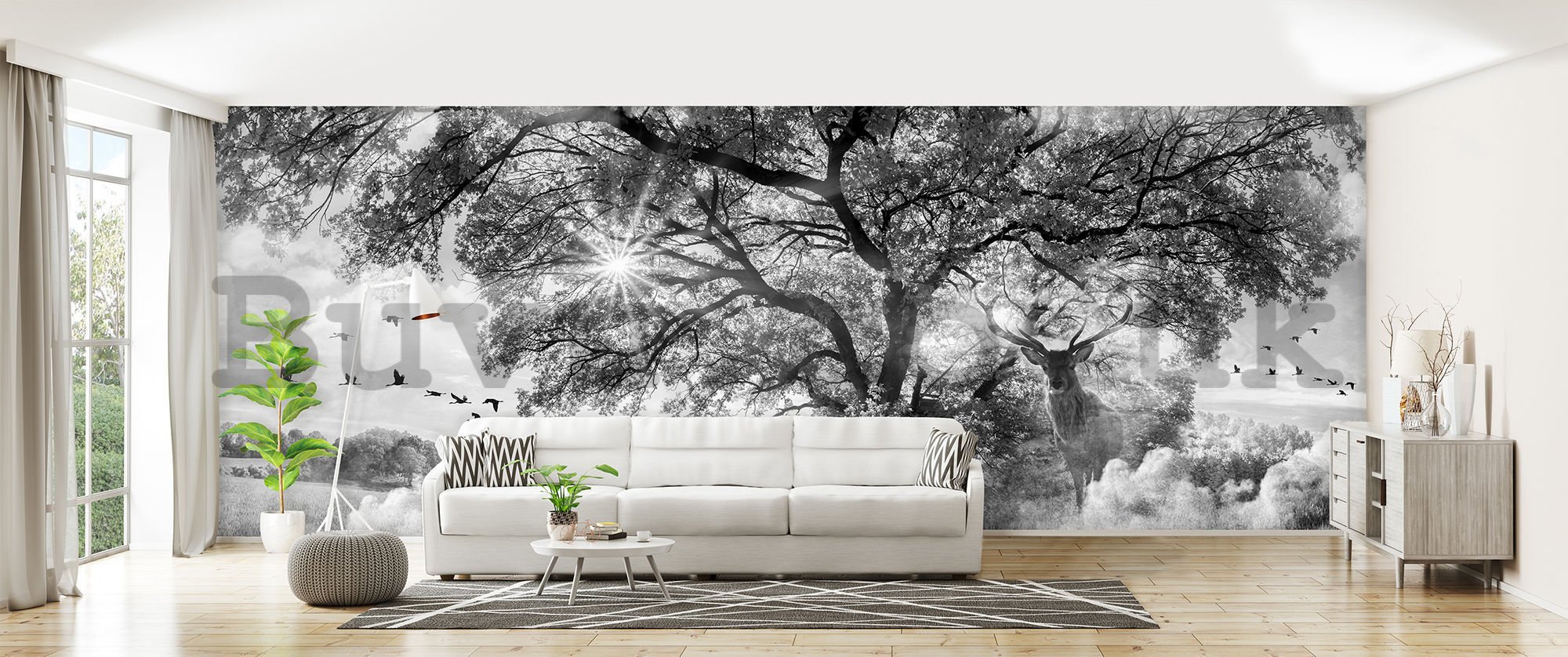 Wall mural: Black and white nature - 624x219 cm