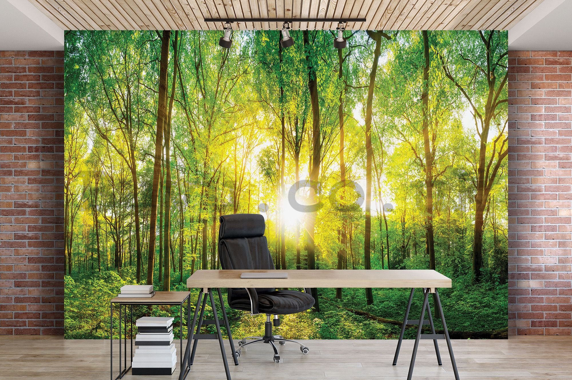 Wall mural: View through the forest - 104x152,5 cm