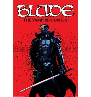 Poster - Blade (The Vampire Hunter)