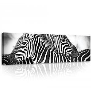 Painting on canvas: Zebra (1) - 145x45 cm