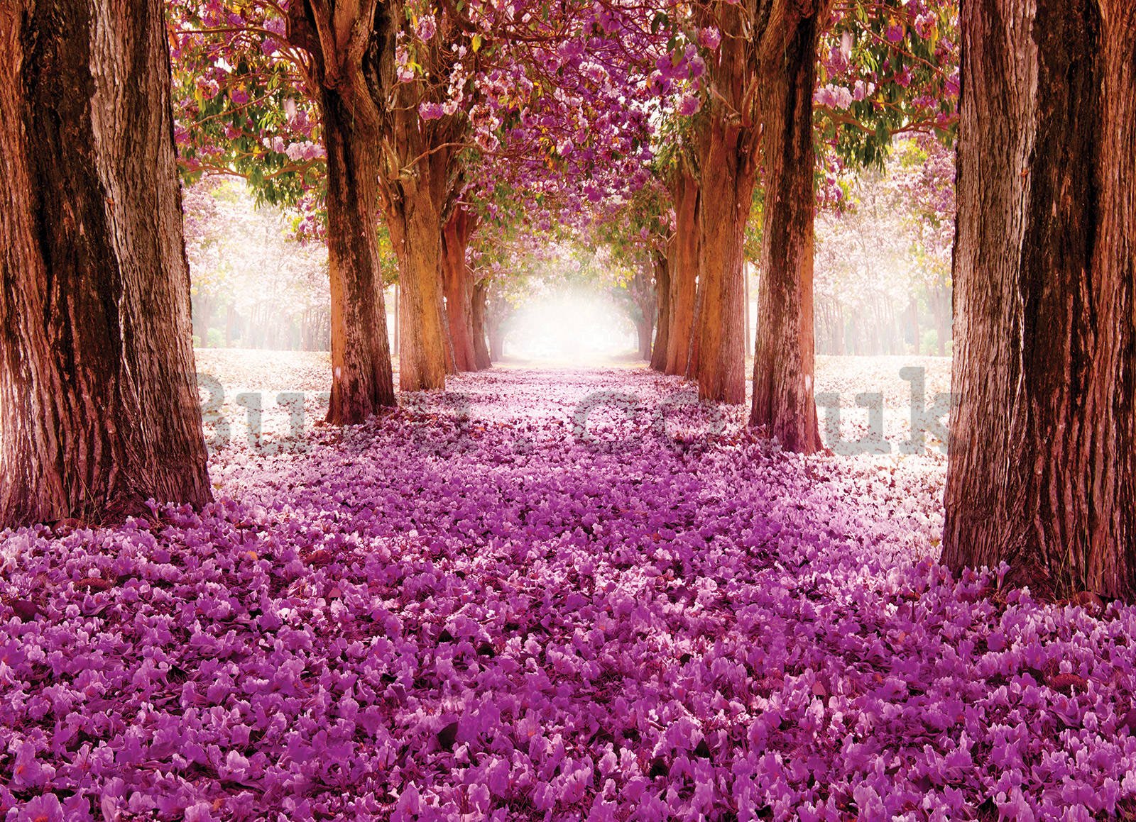 Wall mural: Blossoming Alley - 254x184cm