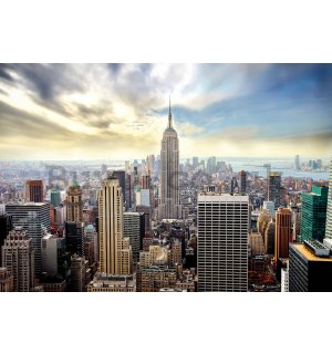 Wall mural: View of New York - 368x254cm