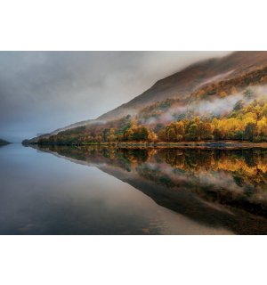 Wall mural: Autumn forest in fog and lake - 368x254cm