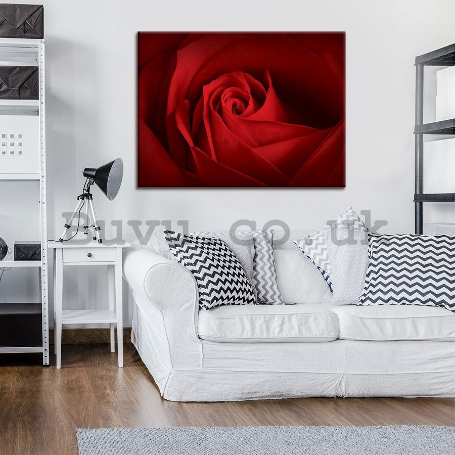 Painting on canvas: Detail of red rose - 75x100 cm