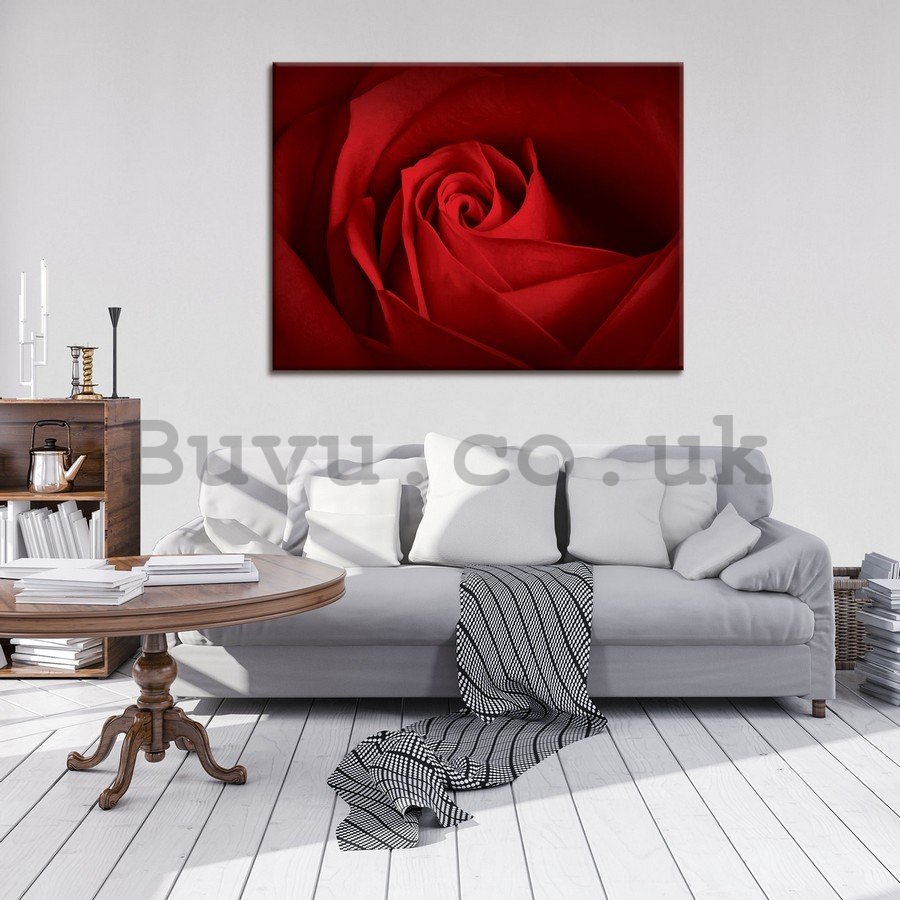 Painting on canvas: Detail of red rose - 75x100 cm