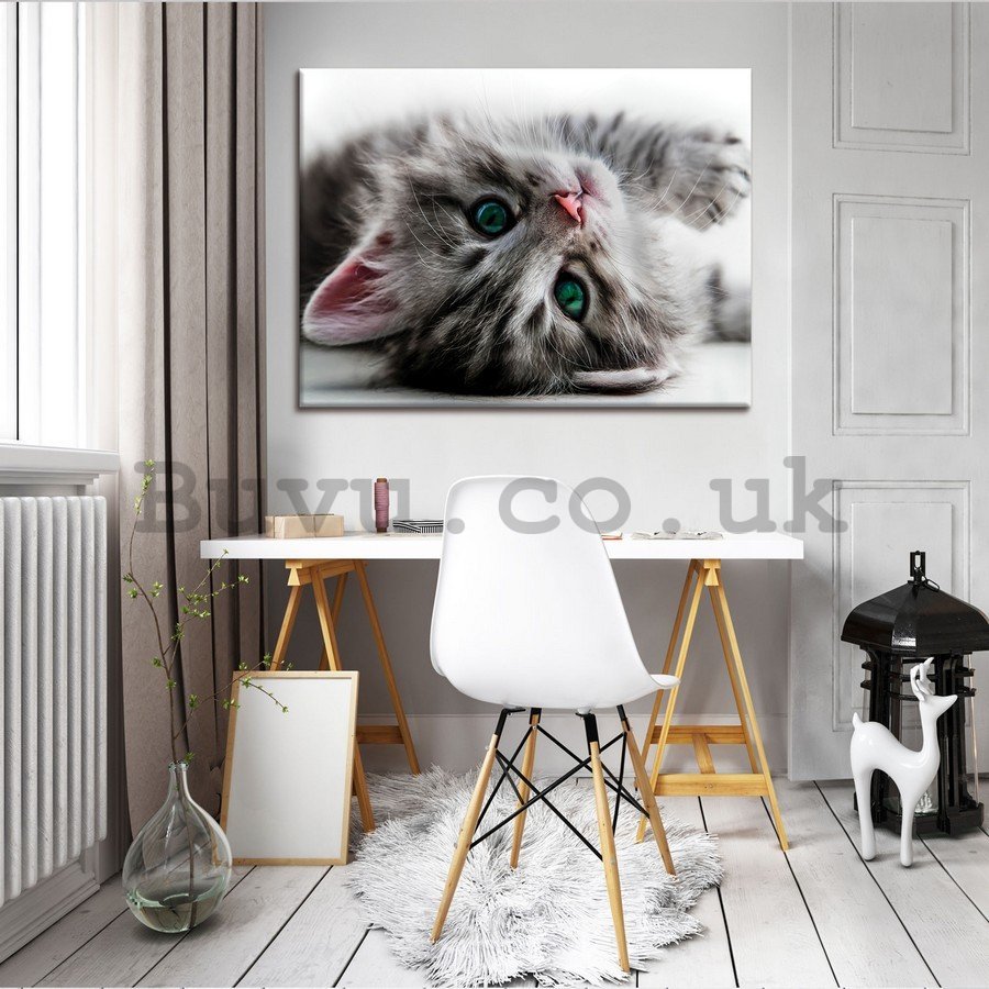 Painting on canvas: Cat - 75x100 cm