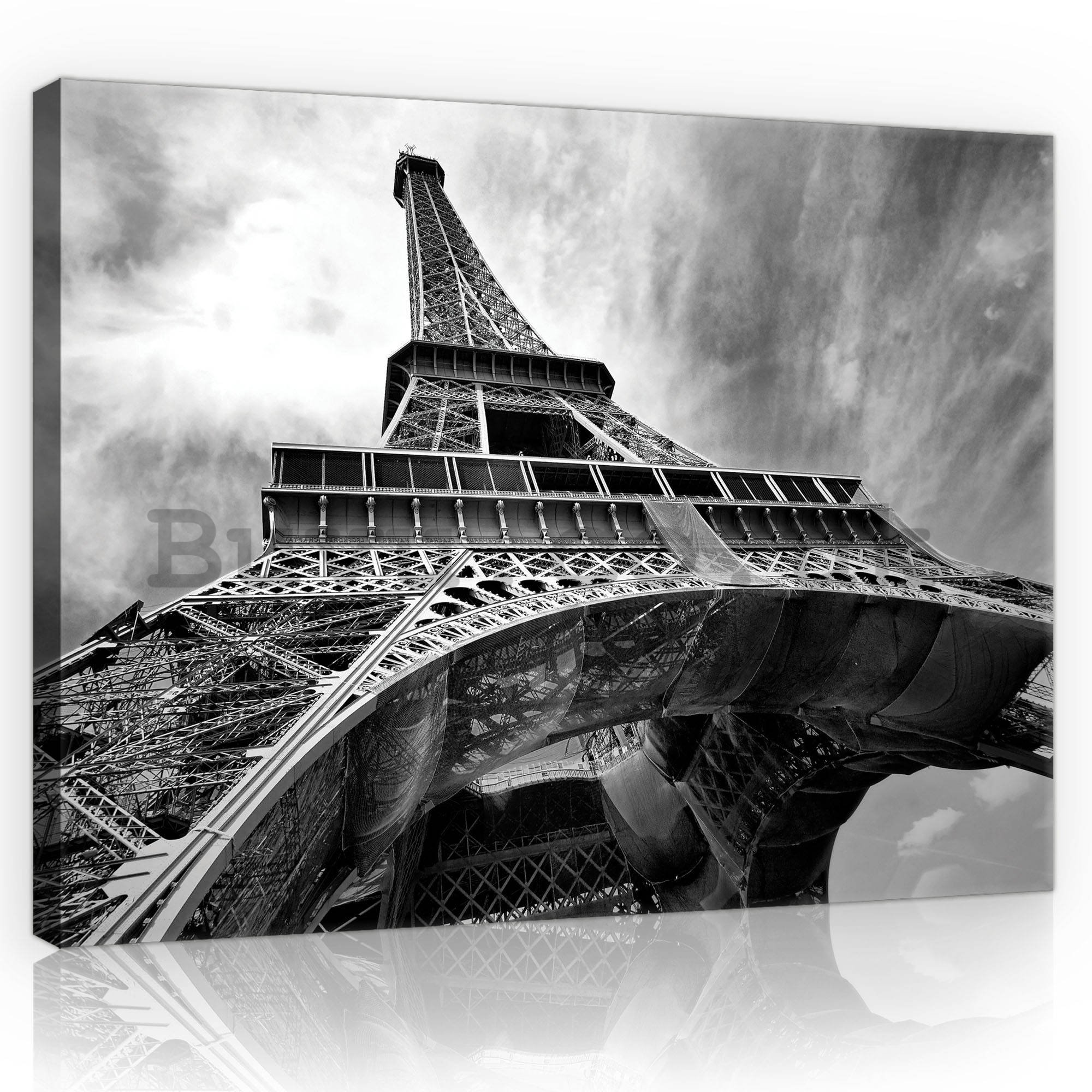 Painting on canvas: Eiffel Tower (2) - 75x100 cm