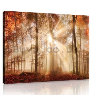 Painting on canvas: Forest dawn - 75x100 cm