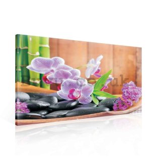 Painting on canvas: Orchid (1) - 75x100 cm