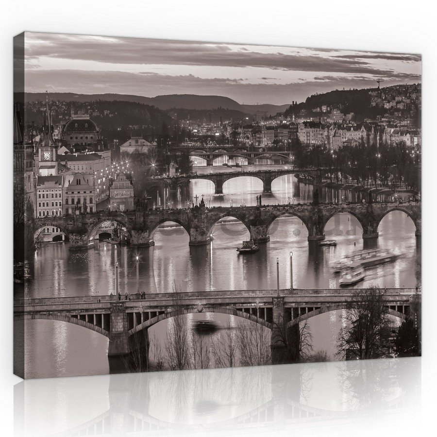 Painting on canvas: Prague (black and white) - 75x100 cm
