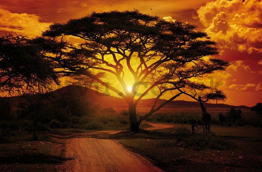 Painting on canvas: African Sunset - 75x100 cm