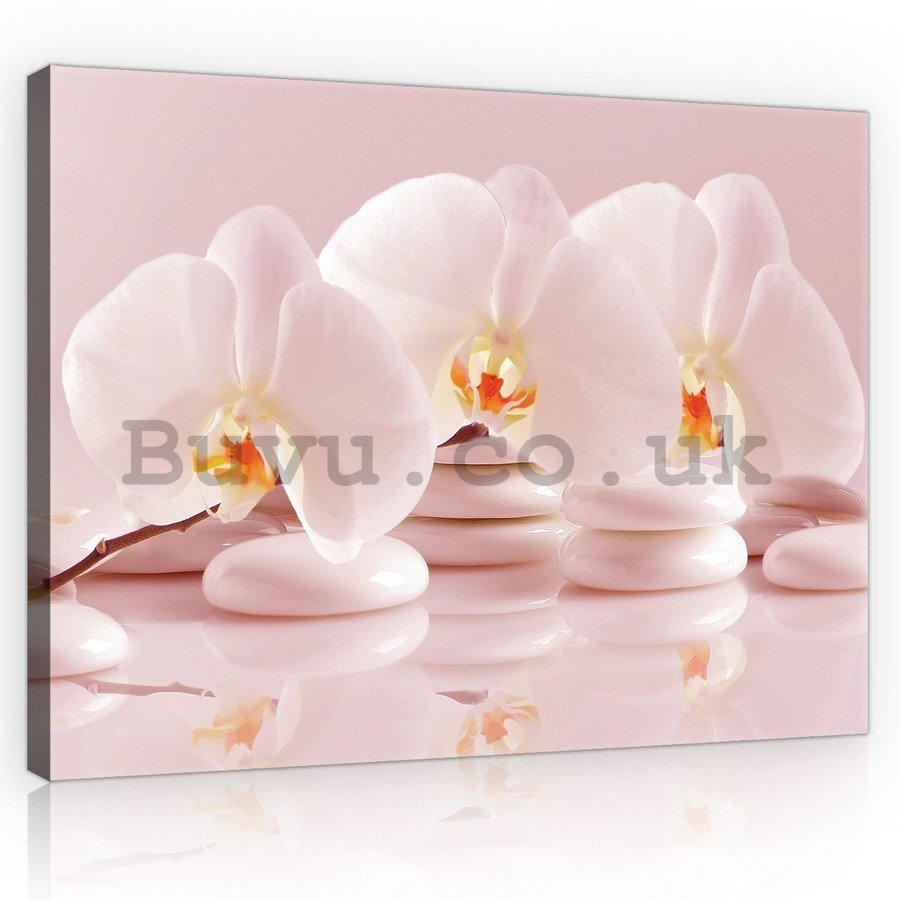 Painting on canvas: Pink Orchids - 75x100 cm