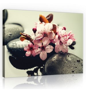 Painting on canvas: Zen and flowers - 75x100 cm