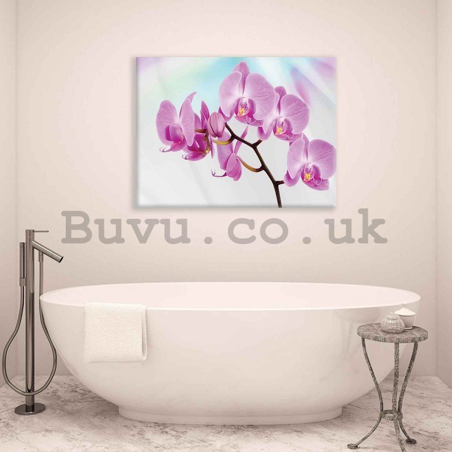 Painting on canvas: Purple Orchid - 75x100 cm