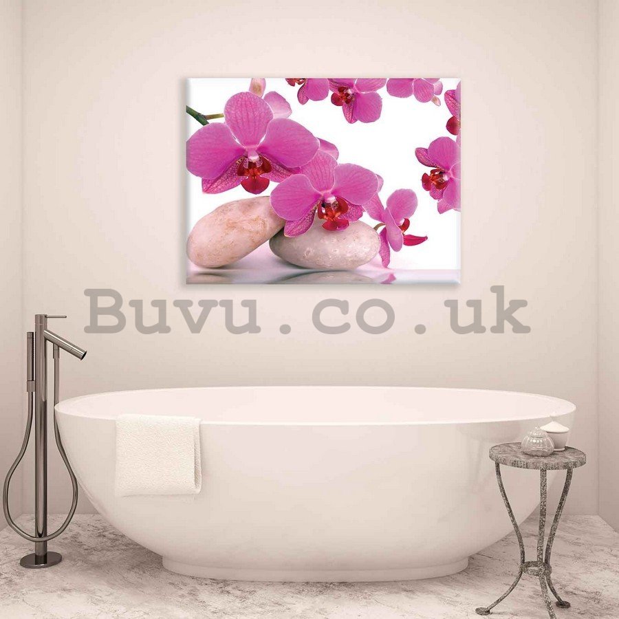 Painting on canvas: Orchid and stones - 75x100 cm