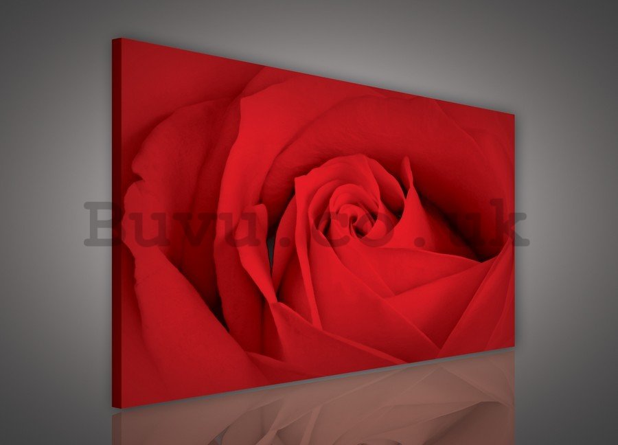Painting on canvas: Detail of Red rose (2) - 75x100 cm