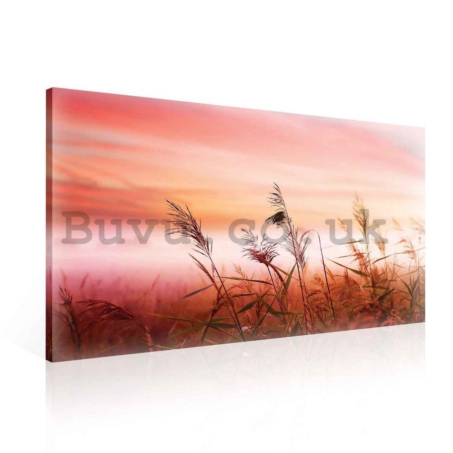 Painting on canvas: Meadow (sunset) - 75x100 cm