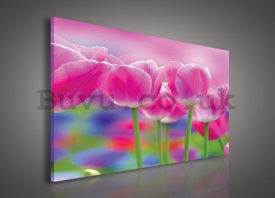Painting on canvas: Purple Tulips - 75x100 cm