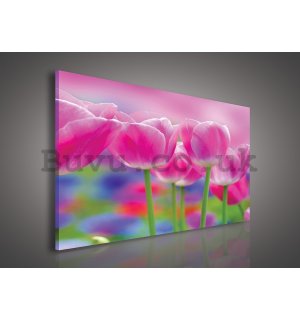 Painting on canvas: Purple Tulips - 75x100 cm