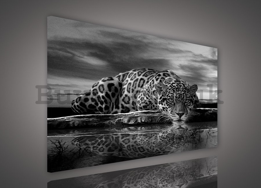 Painting on canvas: Jaguar (black and white) - 75x100 cm