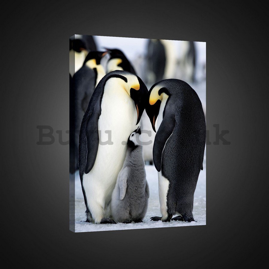 Painting on canvas: Emperor penguins (1) - 75x100 cm