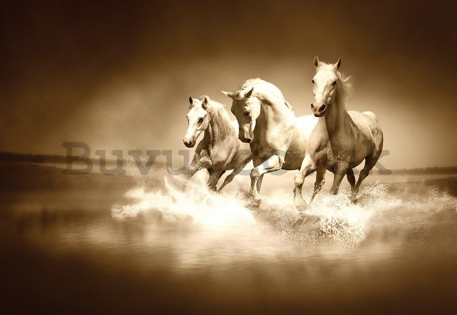 Painting on canvas: Horses (4) - 75x100 cm