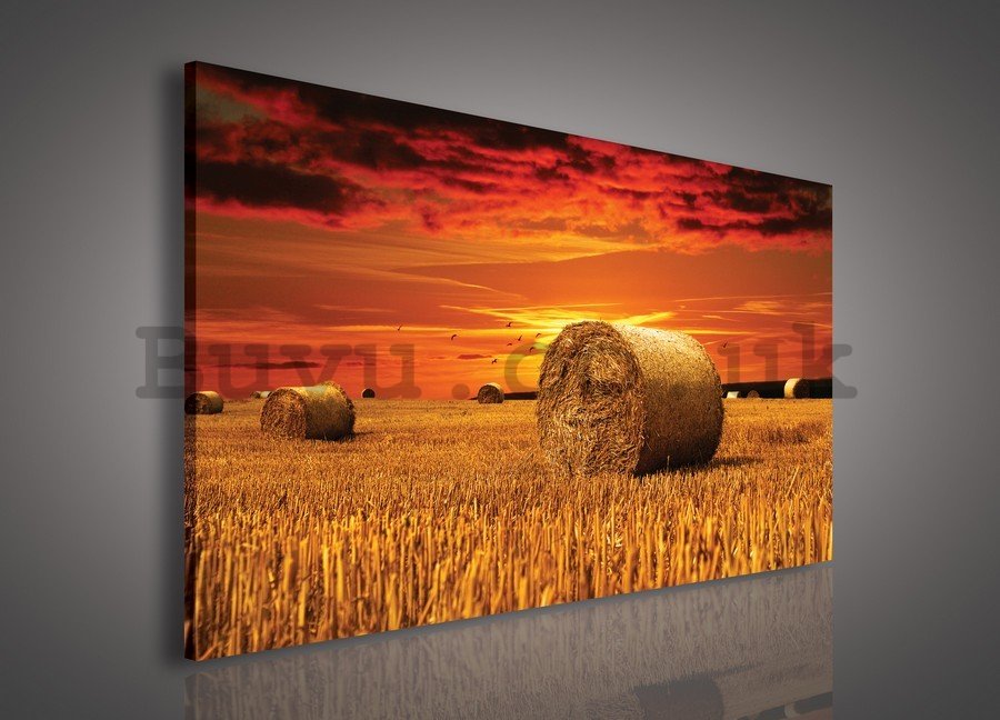Painting on canvas: Straw bales on the Field - 75x100 cm