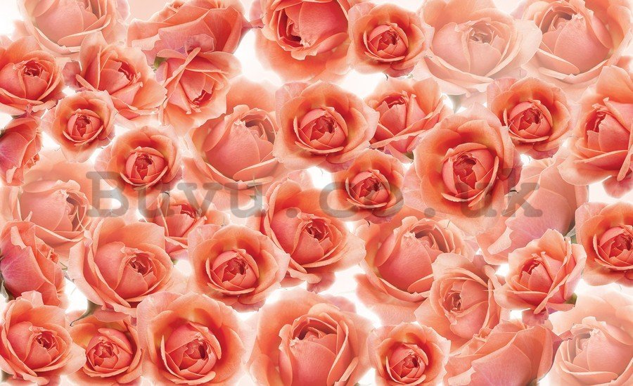 Painting on canvas: Red and pink roses - 75x100 cm