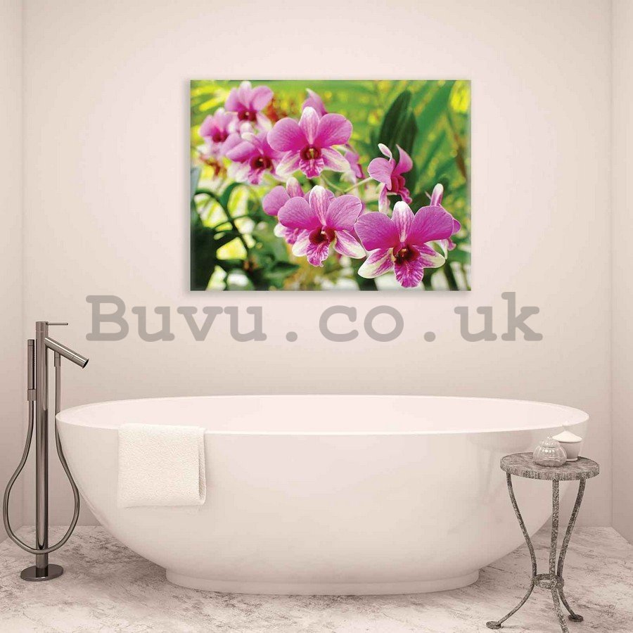 Painting on canvas: Orchid Picture (3) - 75x100 cm