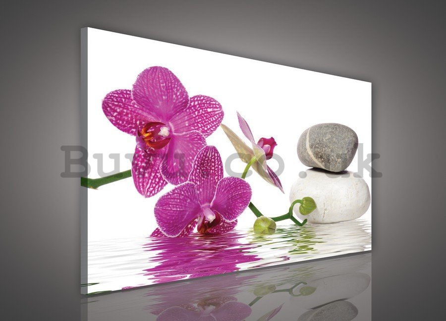 Painting on canvas: Orchid with stones - 75x100 cm