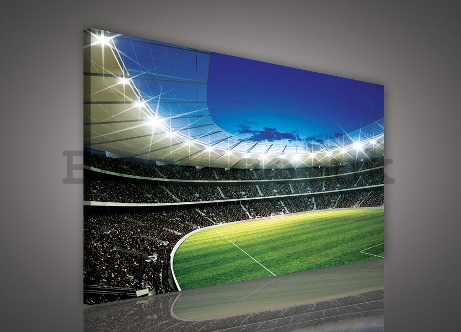Painting on canvas: Football Stadium (1) - 75x100 cm