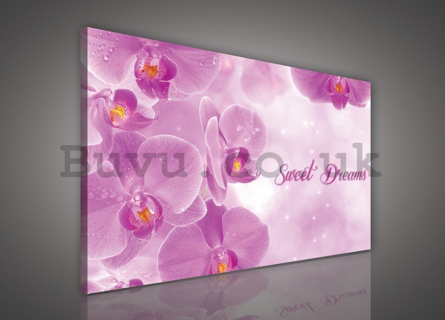 Painting on canvas: Orchids (Sweet dreams) - 75x100 cm